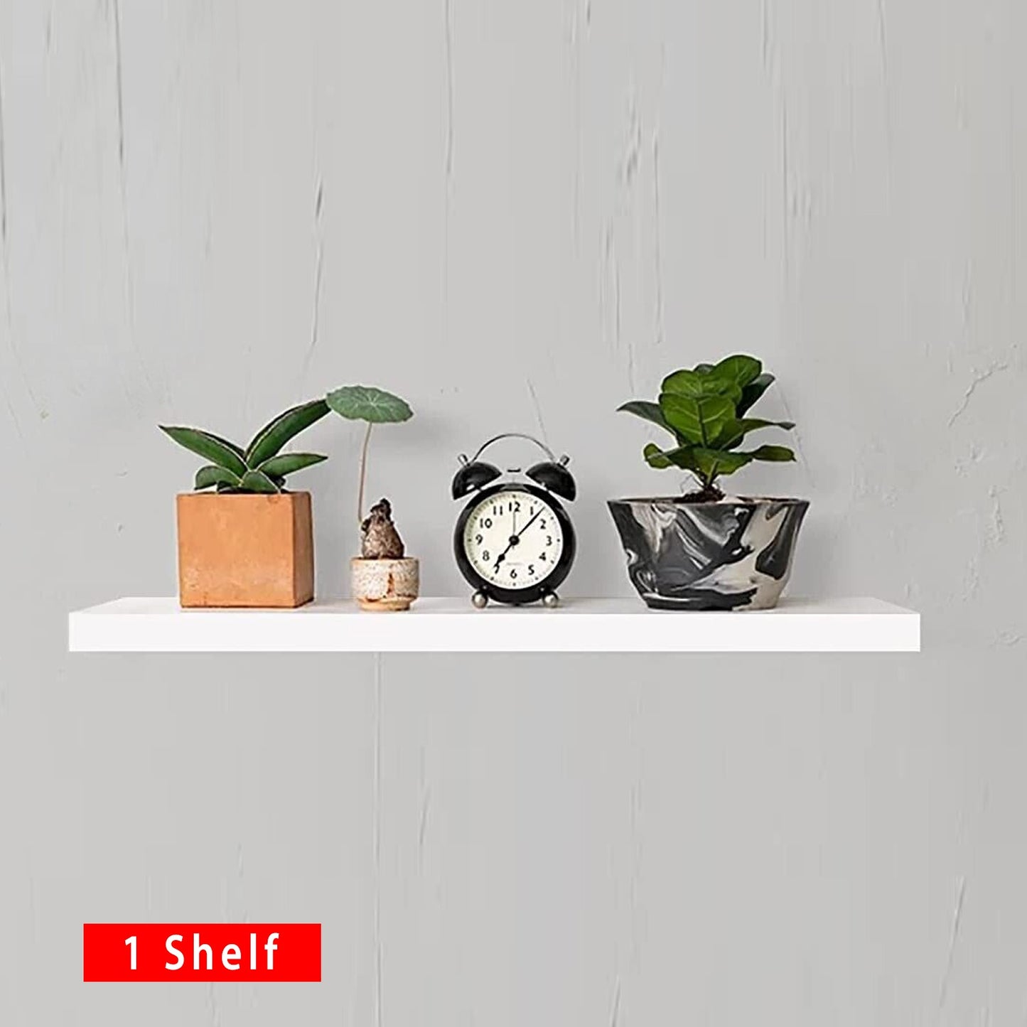Wall Mounted Book Shelf