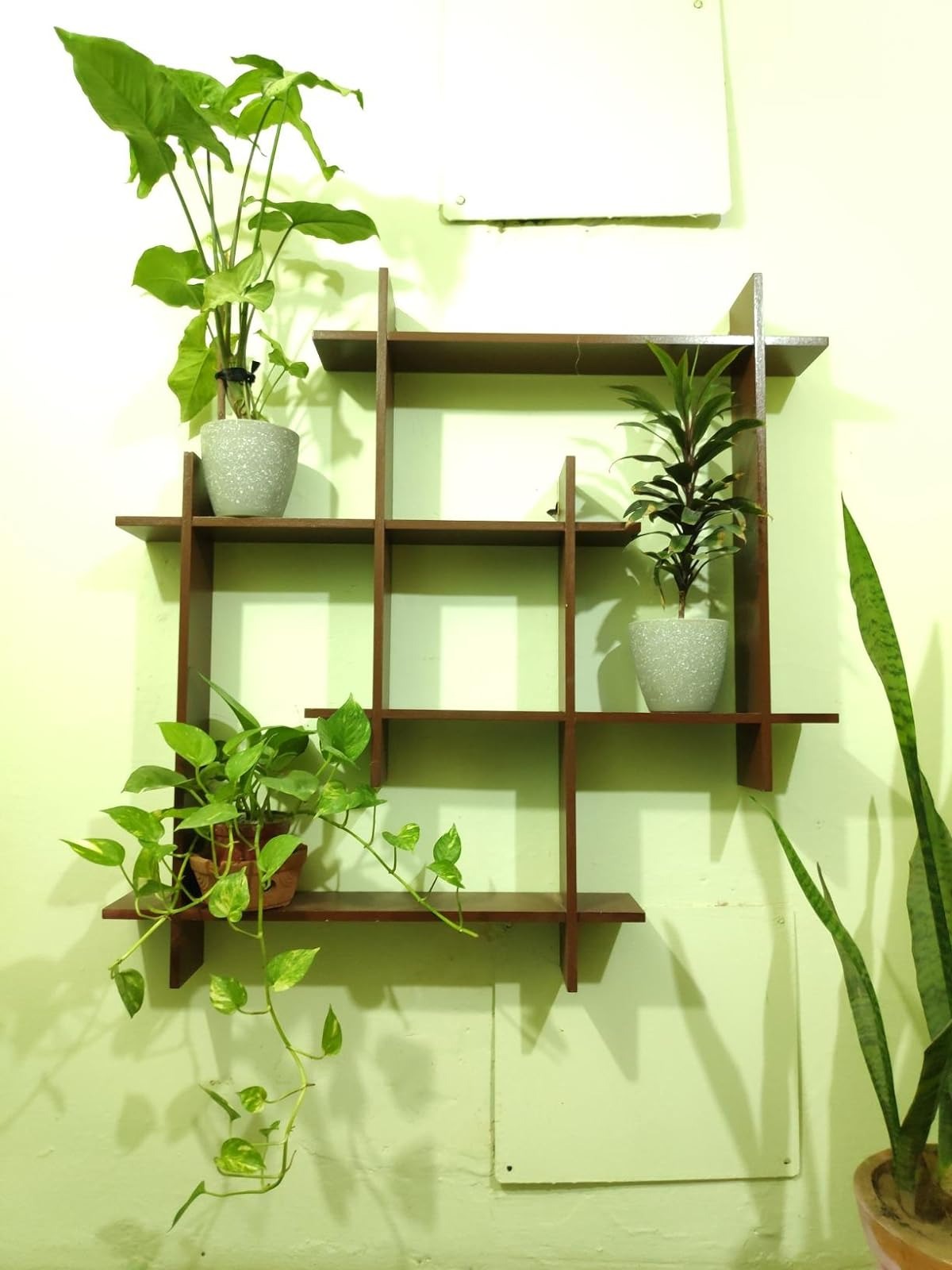 Wall Mounted Book Shelf
